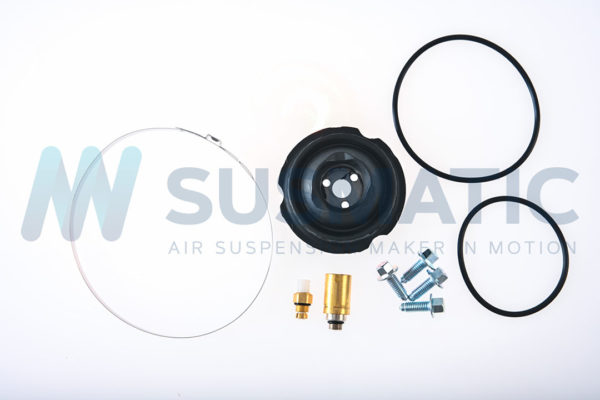 Air spring  Audi Q7 (4L) Front right