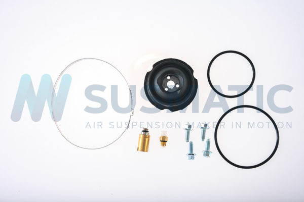 Air spring  Audi Q7 (4L) Front left