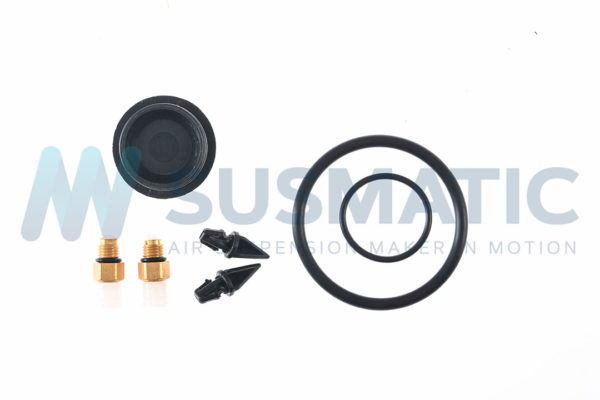 Air spring  Audi A6 (C5 4B) Rear right