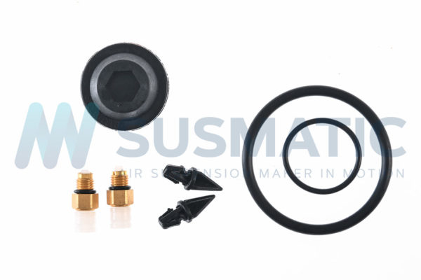 Air spring  Audi A6 (C5 4B) Rear right