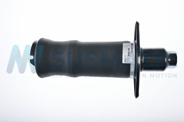 Air spring  Audi A6 (C5 4B) Rear left