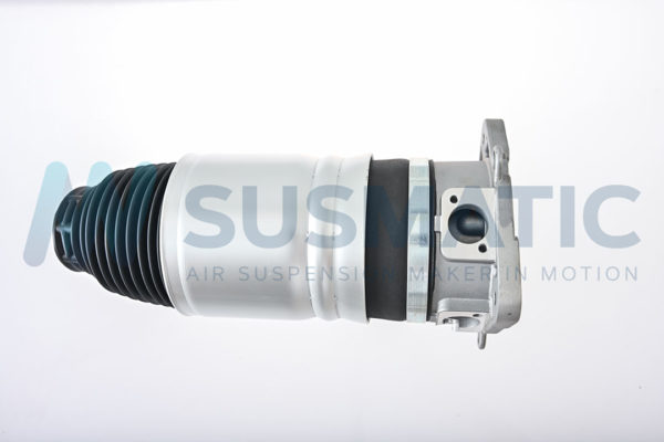 Air spring  Bentley Continental GT / GTC / Flying Spur (D1) Rear left