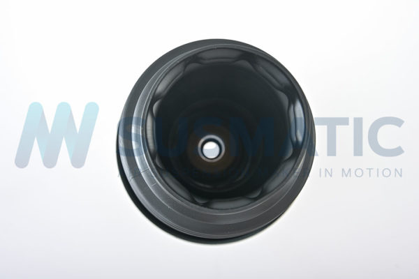 Air spring  Bentley Continental GT / GTC / Flying Spur (D1) Rear left