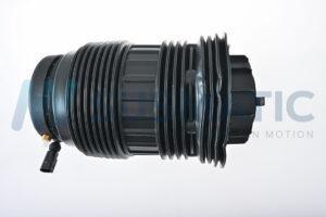 Air spring  Porsche Panamera Rear left|Rear right