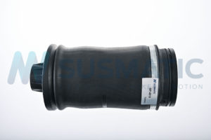 Air spring  Mercedes Benz M-Class Rear left|Rear right
