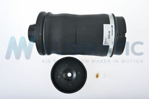 Air spring  Mercedes Benz M-Class Rear left|Rear right