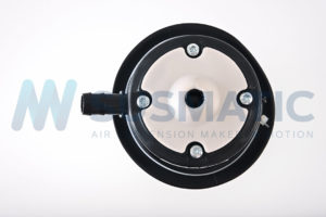 Air spring  Mercedes Benz CLS-Class Rear left