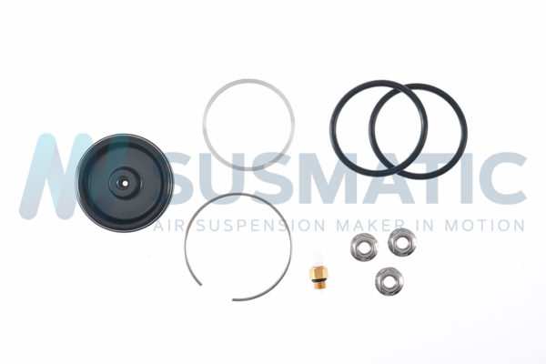 Air spring  Mercedes Benz R-Class Front left|Front right