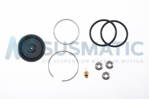 Air spring  Mercedes Benz R-Class Front left|Front right