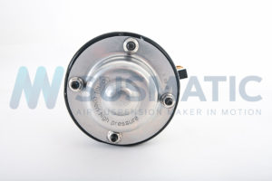 Air strut  Audi A6 Front left