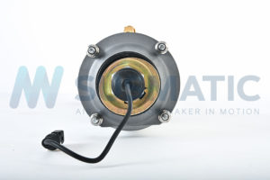 Air strut  Bentley Continental GT / GTC Front left