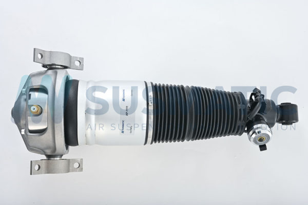 Air strut  Volkswagen Touareg Rear right