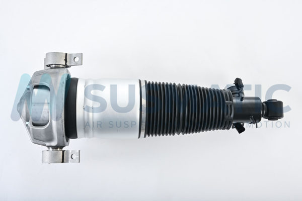 Air strut  Volkswagen Touareg Rear right