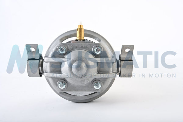 Air strut  Volkswagen Touareg Rear right