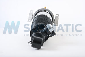 Air strut  Volkswagen Touareg Rear left