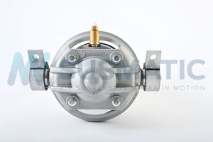 Air strut  Volkswagen Touareg Rear left