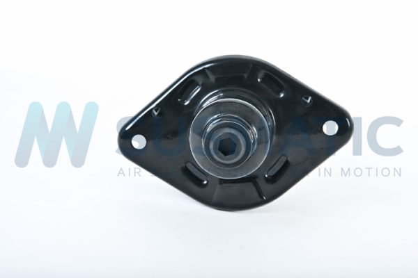 Air strut  Audi A6 Rear right