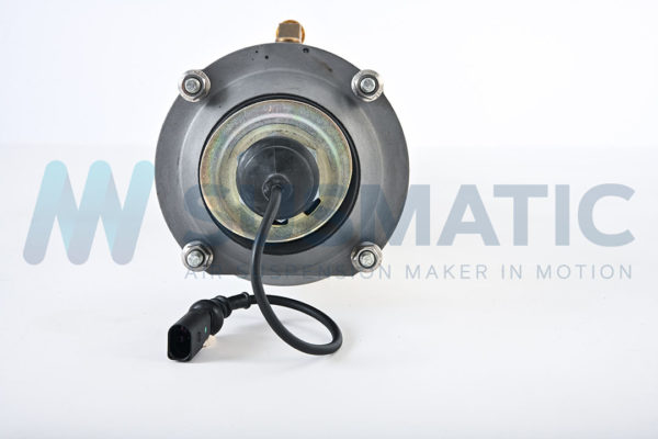 Air strut  Audi A8|S8 Front left