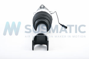 Air strut  Audi A8|S8 Rear left