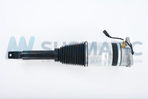 Air strut  Bentley Flying Spur Rear left