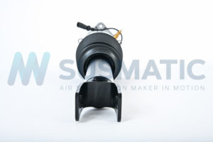 Air strut  Bentley Flying Spur Rear left