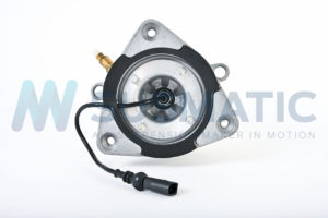 Air strut  Bentley Flying Spur Rear left