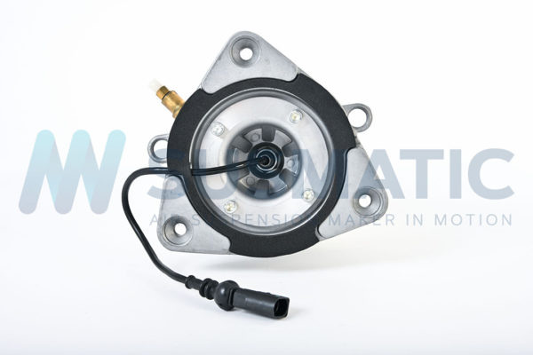 Air strut  Volkswagen Phateon Rear left