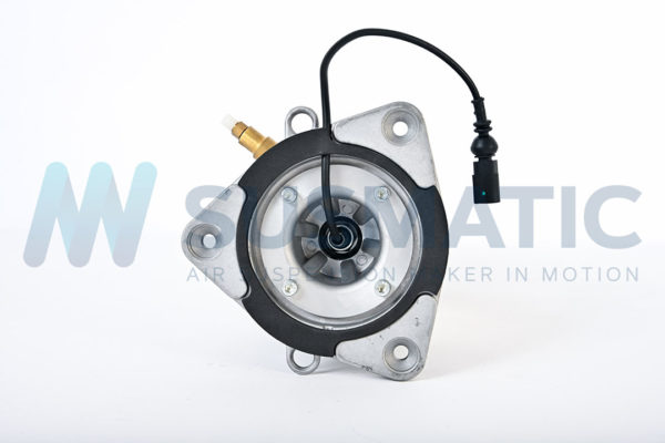 Air strut  Volkswagen Phateon Rear right