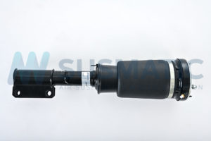 Air strut  BMW X5 Front right