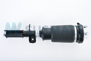 Air strut  BMW X5 Front right
