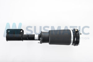 Air strut  BMW X5 Front left