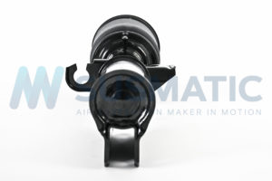 Air strut  BMW X5 Front left