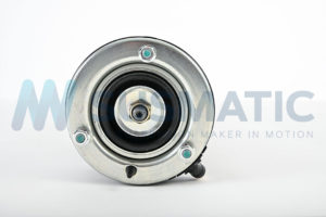 Air strut  BMW X5 Front left