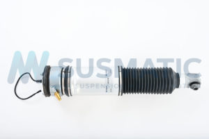 Air strut  BMW 7 Serie Rear left