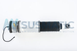 Air strut  BMW 7 Serie Rear left