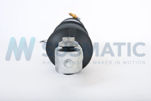 Air strut  BMW 7 Serie Rear left