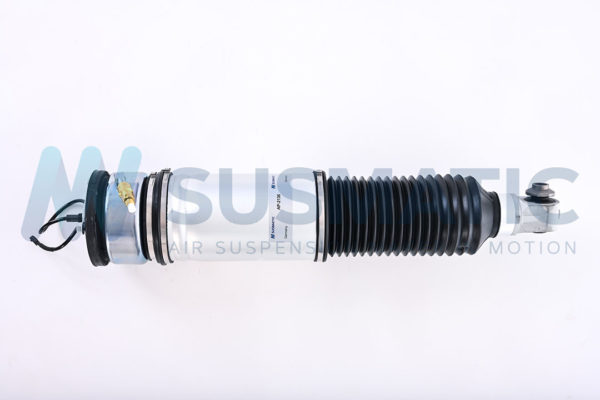 Air strut  BMW 7 Serie Rear right