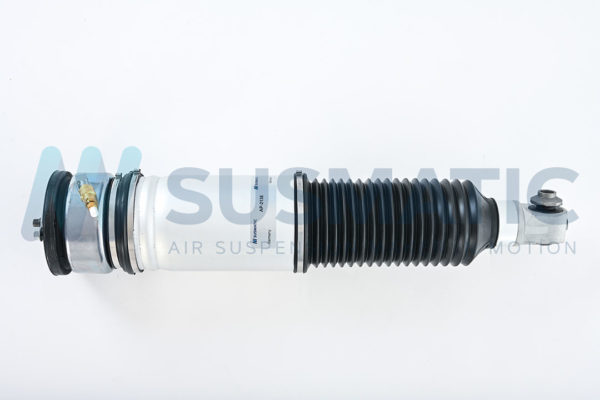 Air strut  BMW 7 Serie Rear right