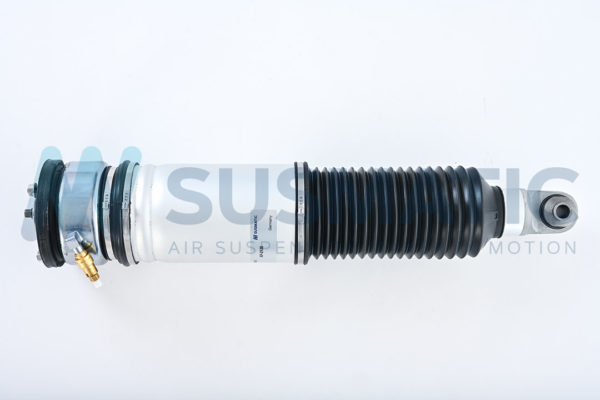 Air strut  BMW 7 Serie Rear right