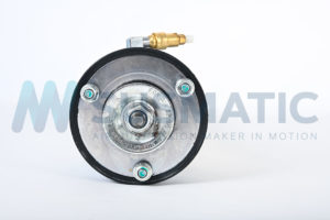 Air strut  BMW 7 Serie Rear right
