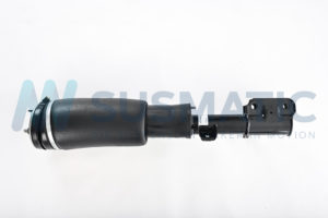 Air strut  Land Rover Range Rover III Front left