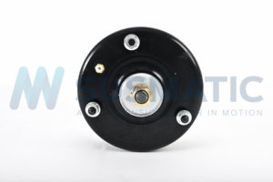 Air strut  Land Rover Range Rover Sport Rear left|Rear right