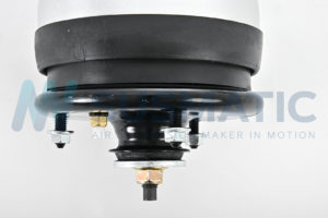 Air strut  Land Rover Range Rover Sport Rear left|Rear right