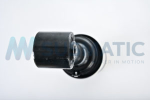 Air strut  Land Rover Range Rover Sport Front left|Front right