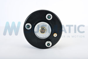 Air strut  Land Rover Range Rover Sport Front left|Front right