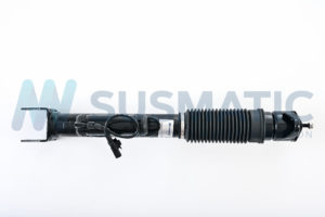 Air strut  Mercedes Benz GLE Rear left|Rear right