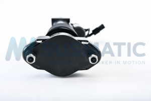 Air strut  Mercedes Benz GLE Rear left|Rear right