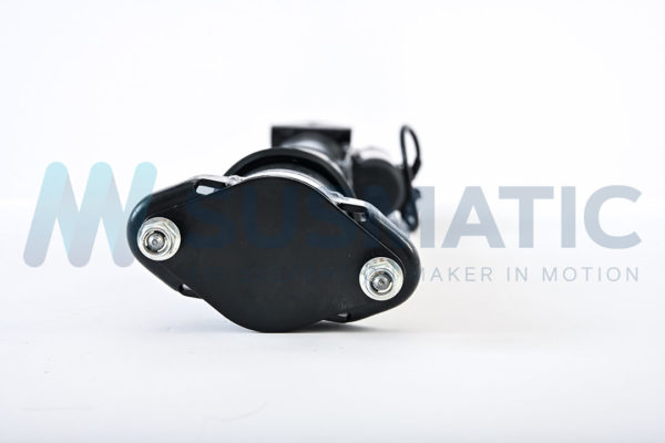 Air strut  Mercedes Benz R-Class Rear left|Rear right