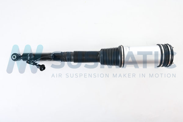 Air strut  Mercedes Benz S-Class Rear left|Rear right