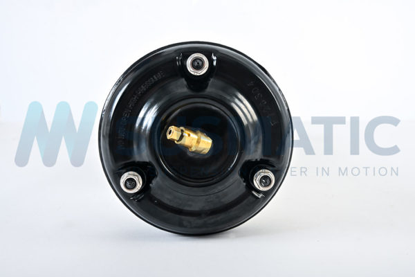 Air strut  Mercedes Benz S-Class Front left|Front right